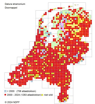 Verspreidingskaart Doornappel