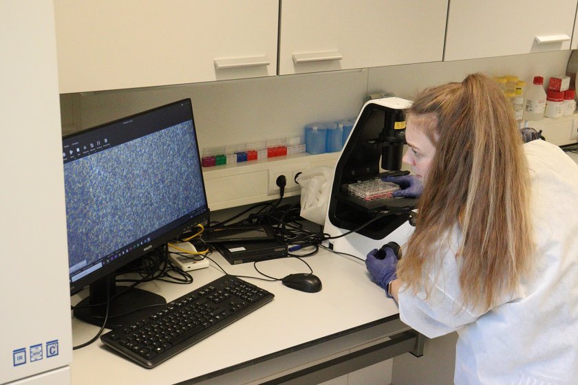 Romy Dresken examines an image of one of the cell cultures in the laboratory.