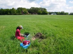 Onderzoekers pompen in Haaksbergen water op om te onderzoeken hoe chemische residuen die nog aanwezig zijn in gezuiverd afvalwater zich gedragen tijdens irrigatie en op het veld. Foto: Jill Soedarso 