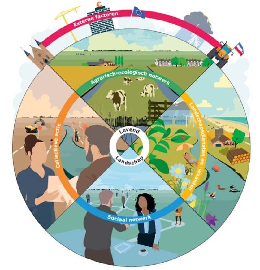 Figuur 1: de verschillende onderdelen die samen Levend Landschap vormen